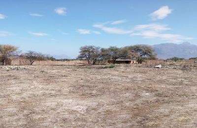 VENTA DE TERRENO EN ENTRADA DE OLMOS